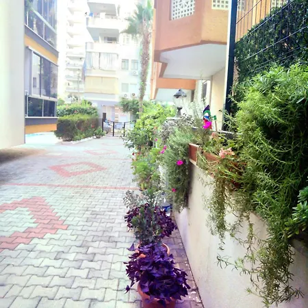 Apartment White Gold